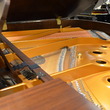 2010 Kawai RX-1 - Grand Pianos